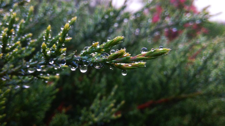 After rain