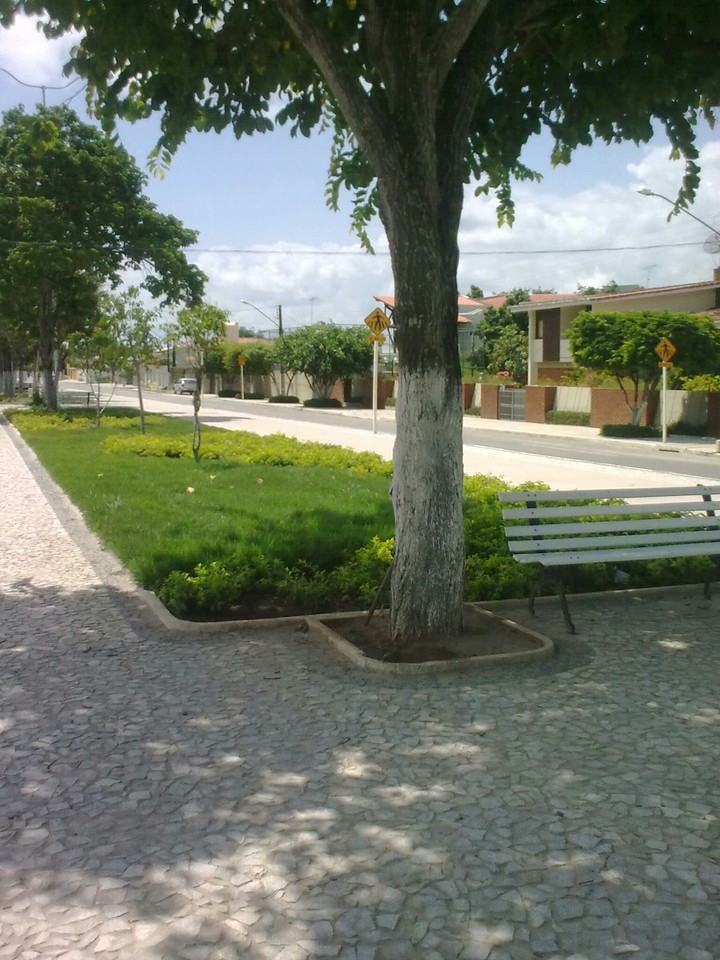 paisagem