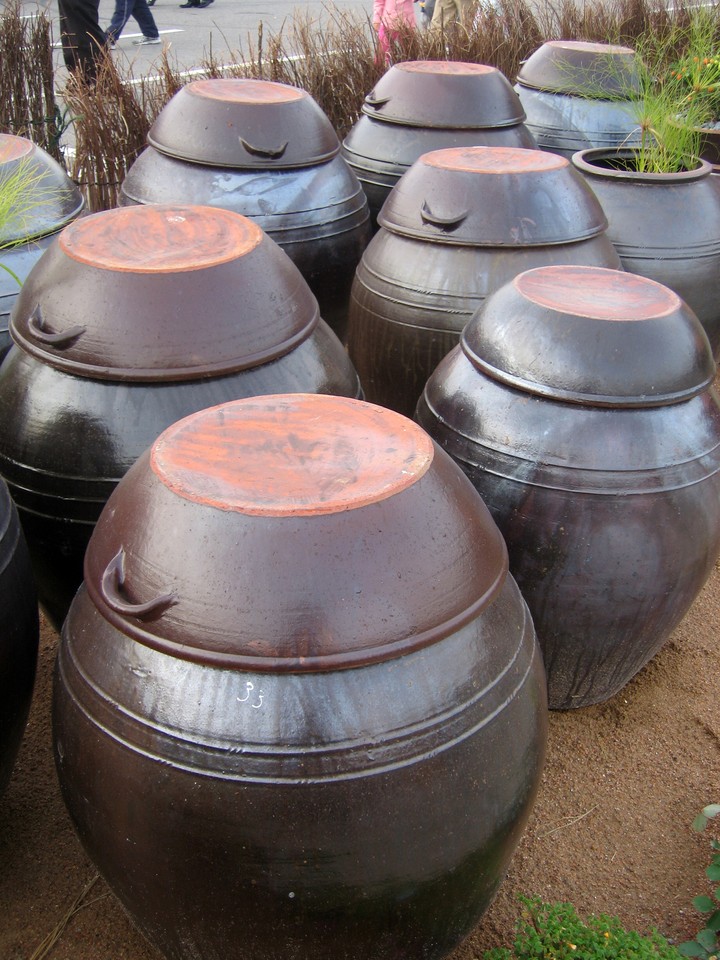 Traditional Culture