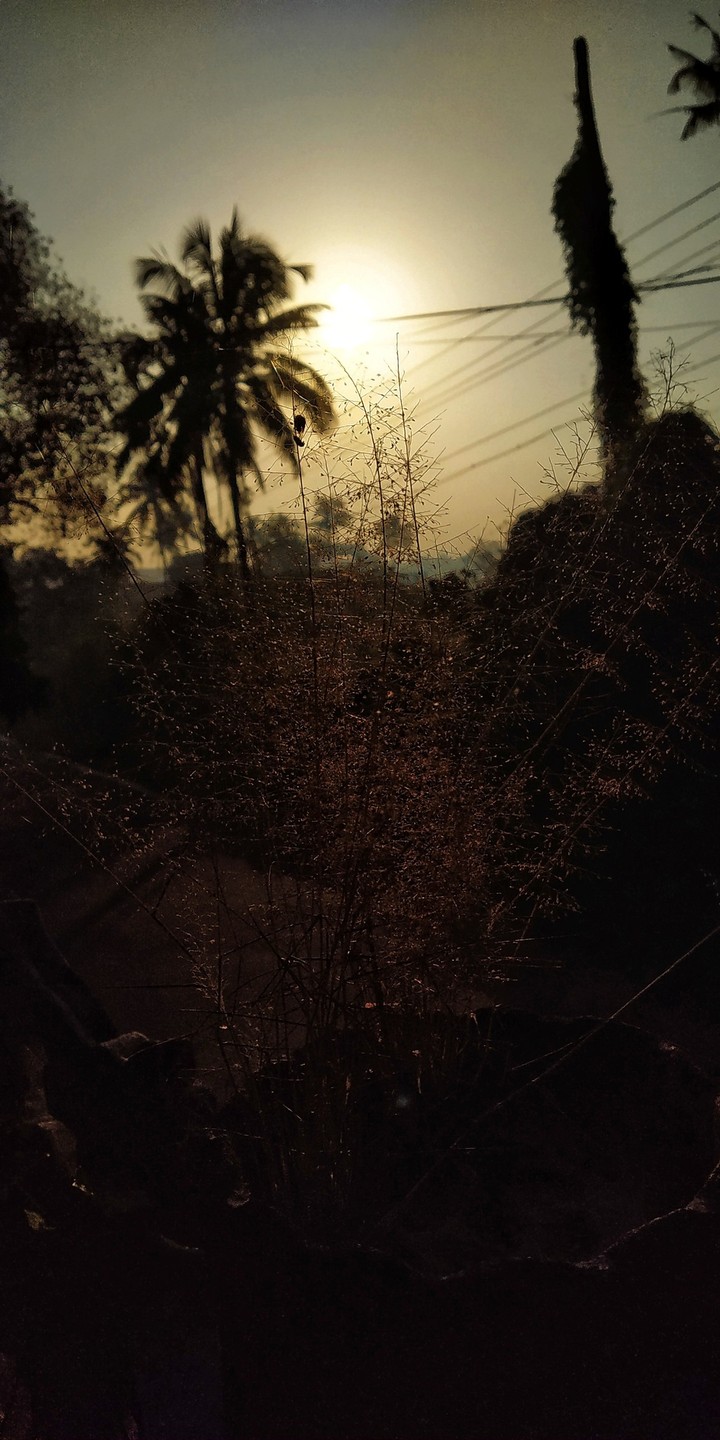 sunrise