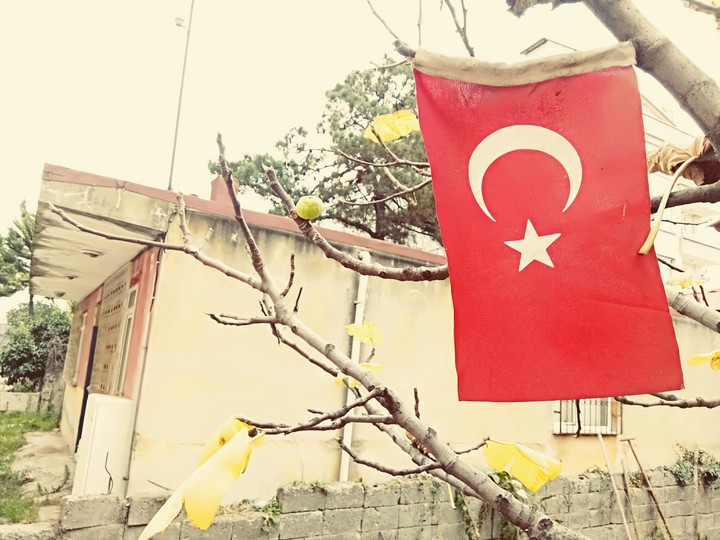 bayrak aşkı