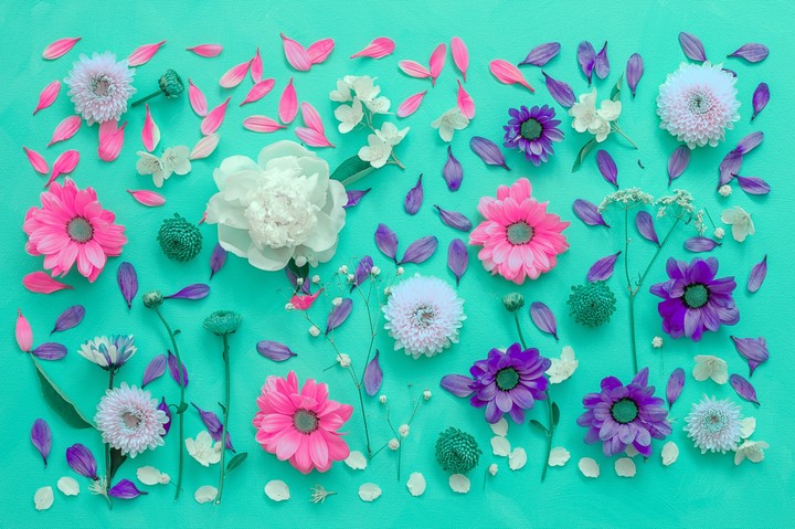 blossom