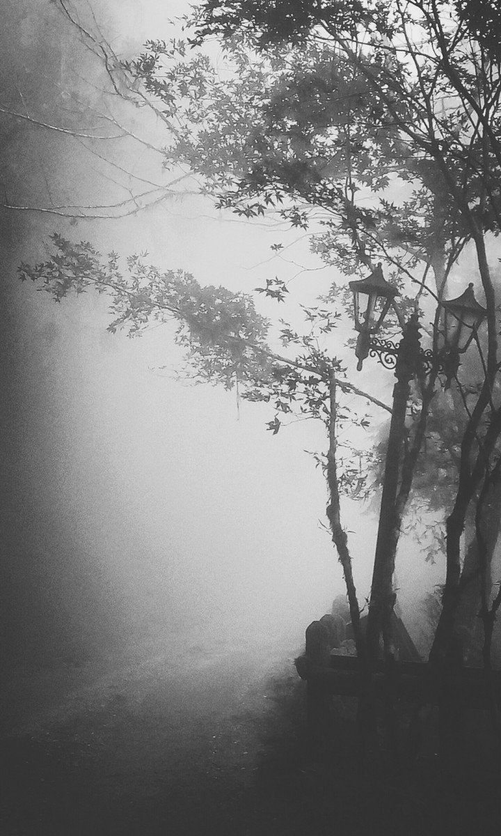 霧