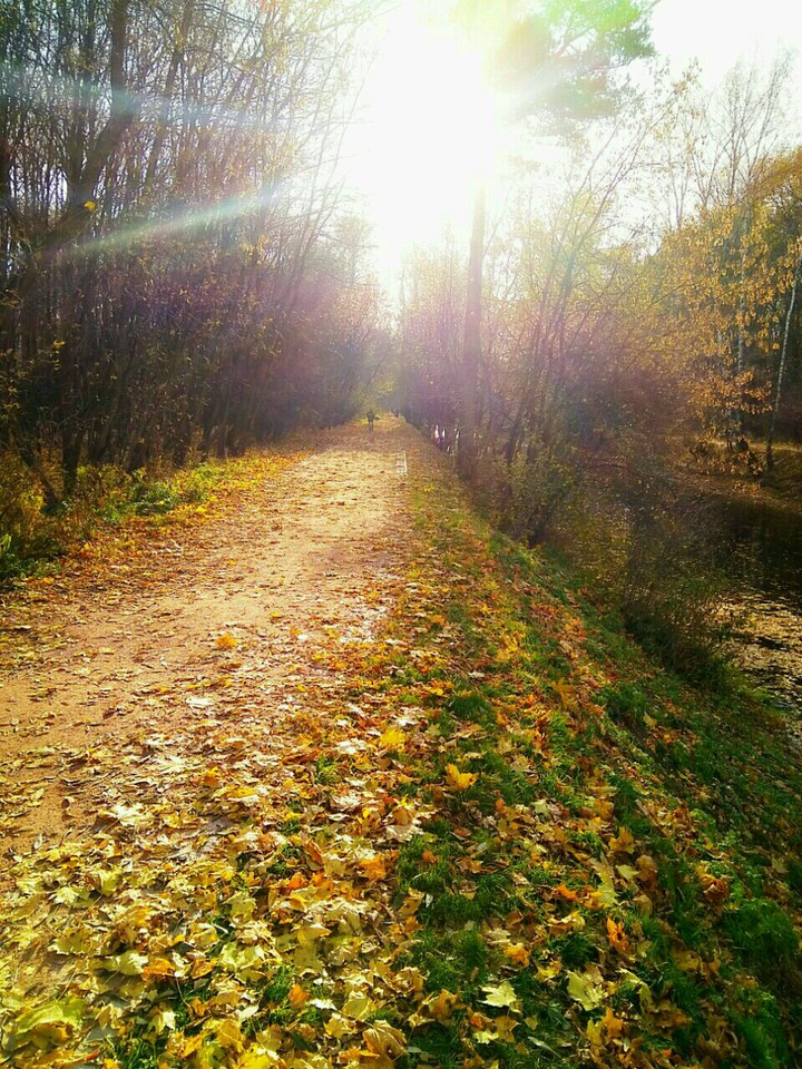 осень