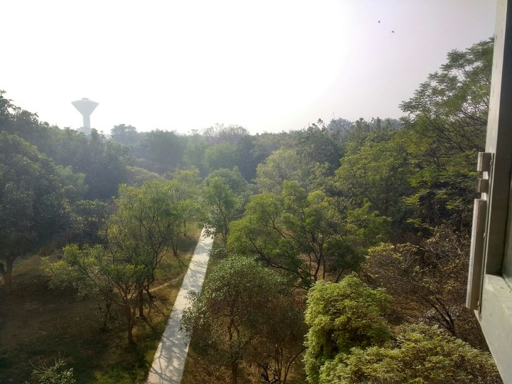 nature