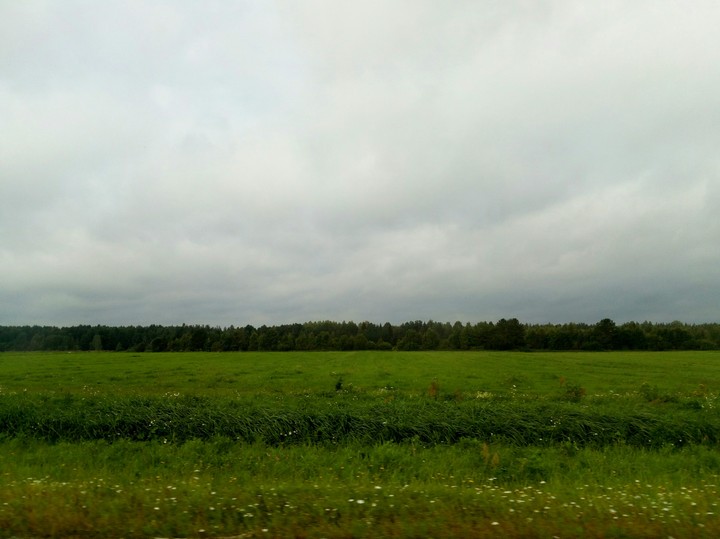 поле