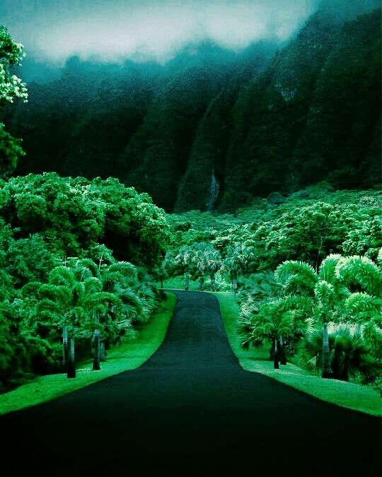 awesome nature