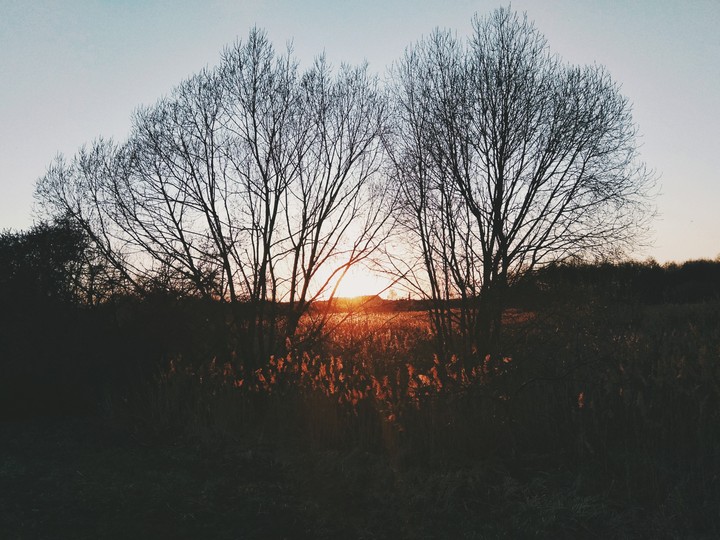 Evening