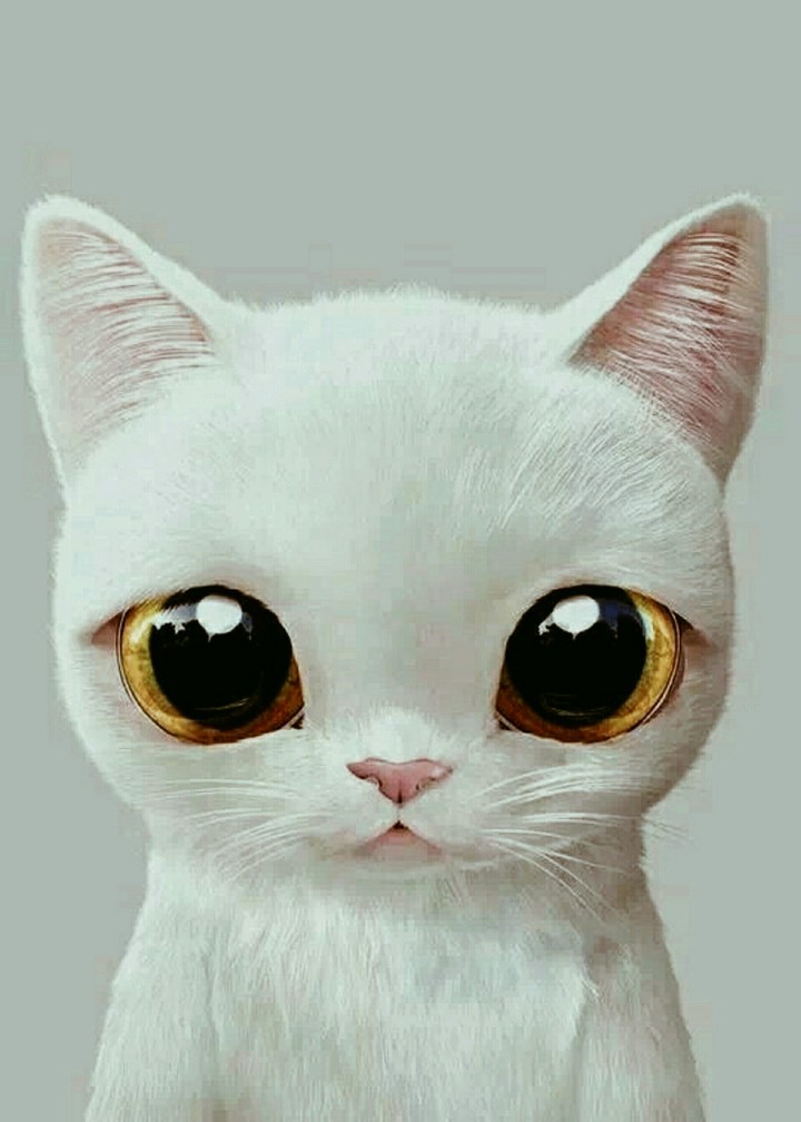 Big Eyes 