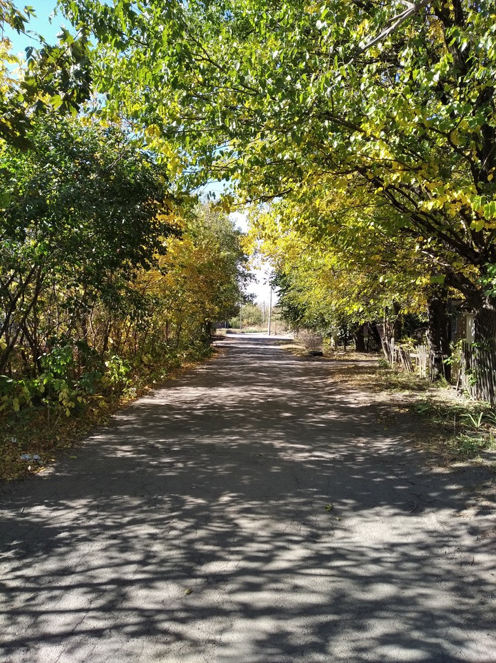 осень