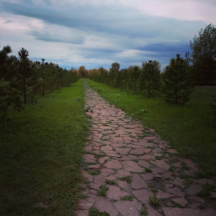 for a walk