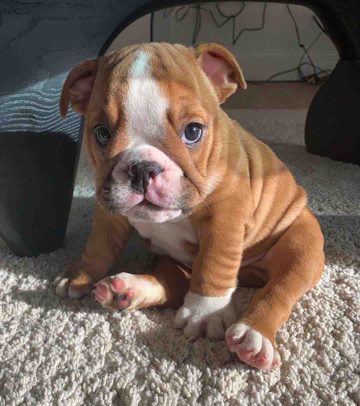 cute