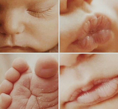 amare sapore Papini