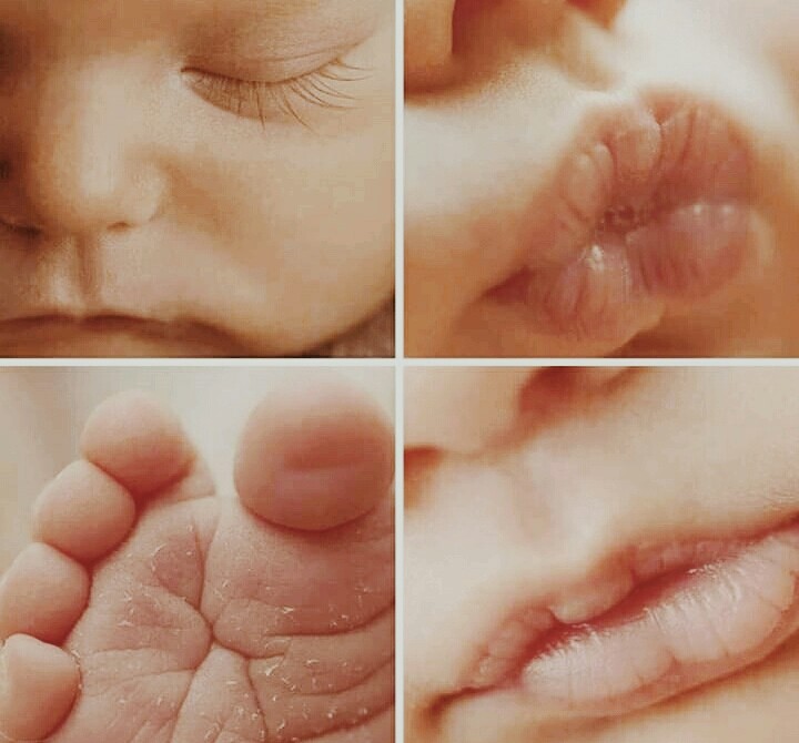 amare sapore Papini