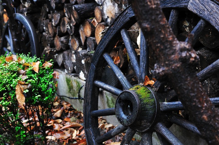 Wheel