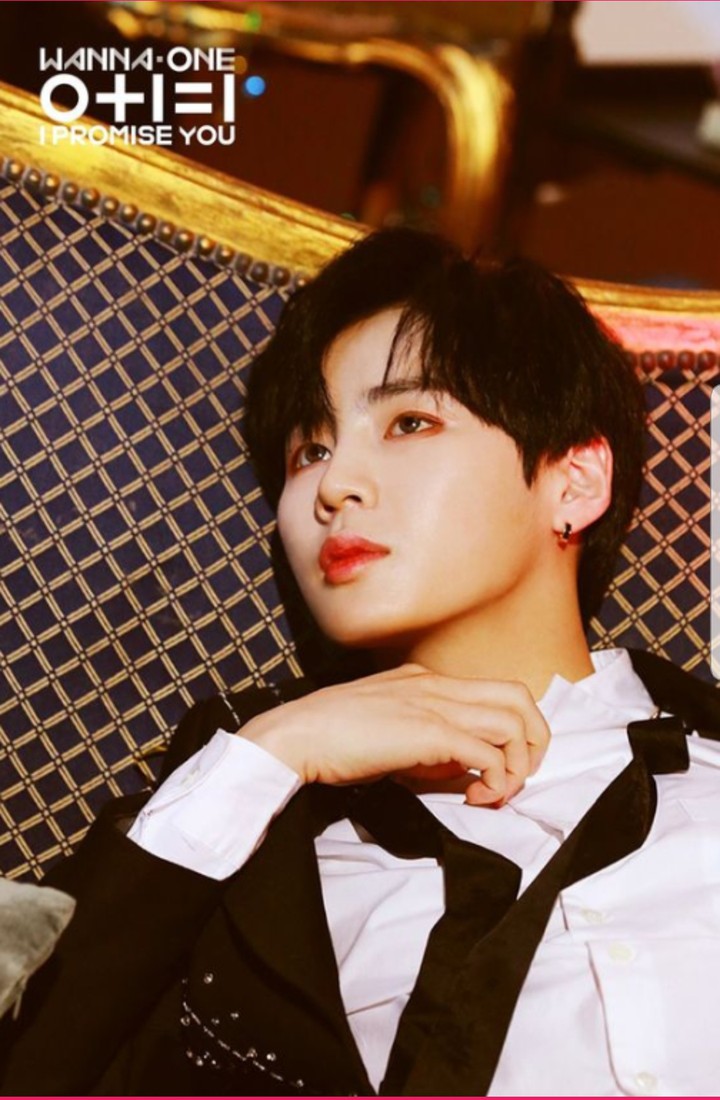 워너원 하성운