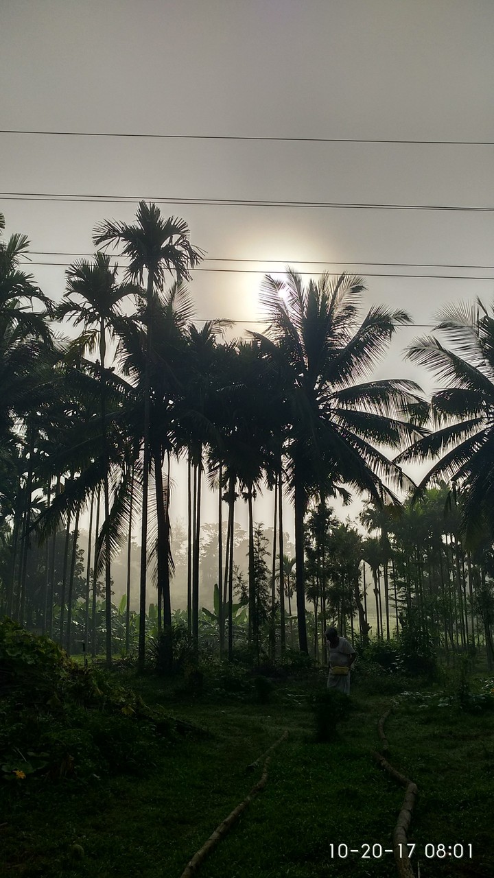 early morning