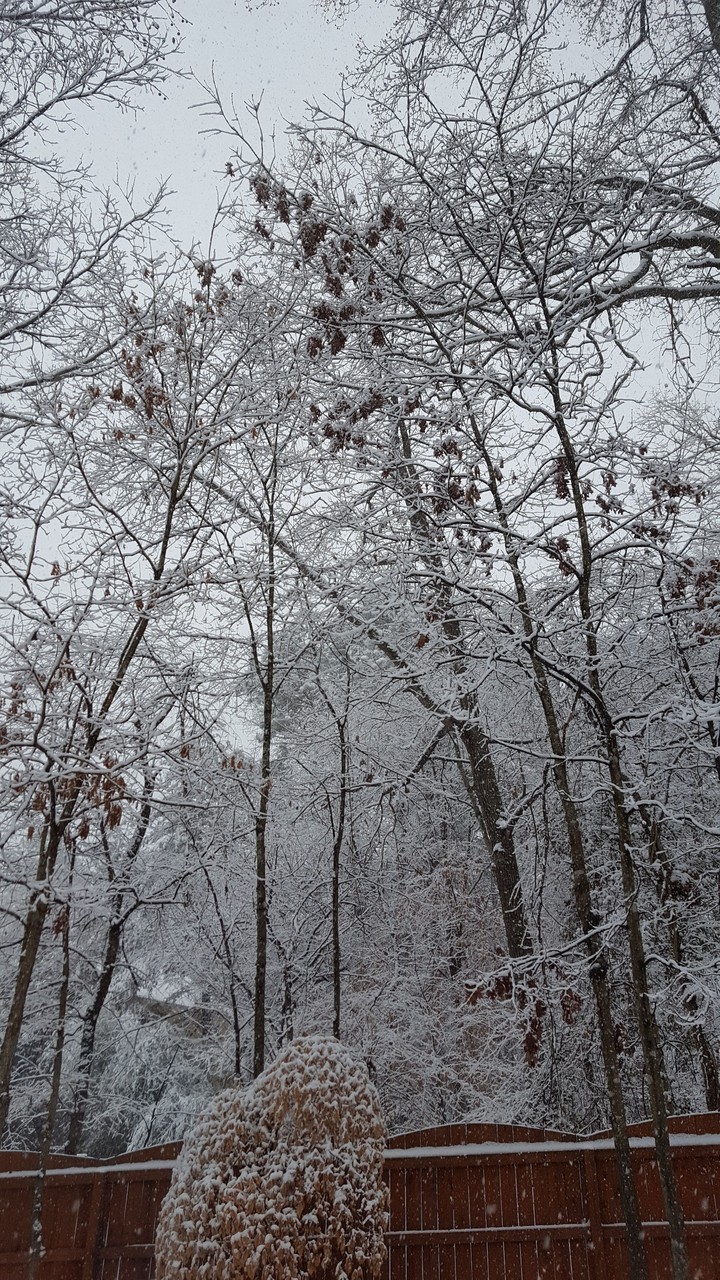 winter