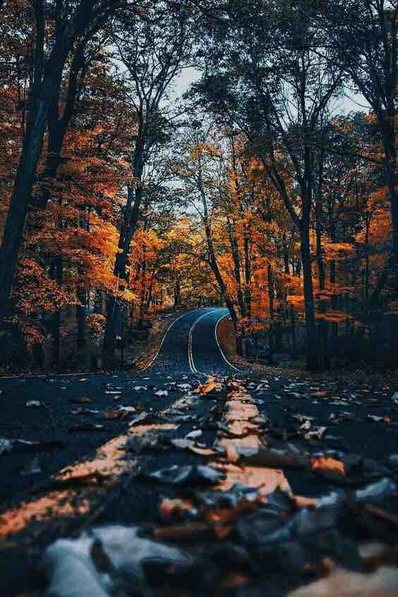 the road