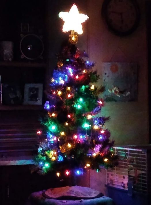 My tree
