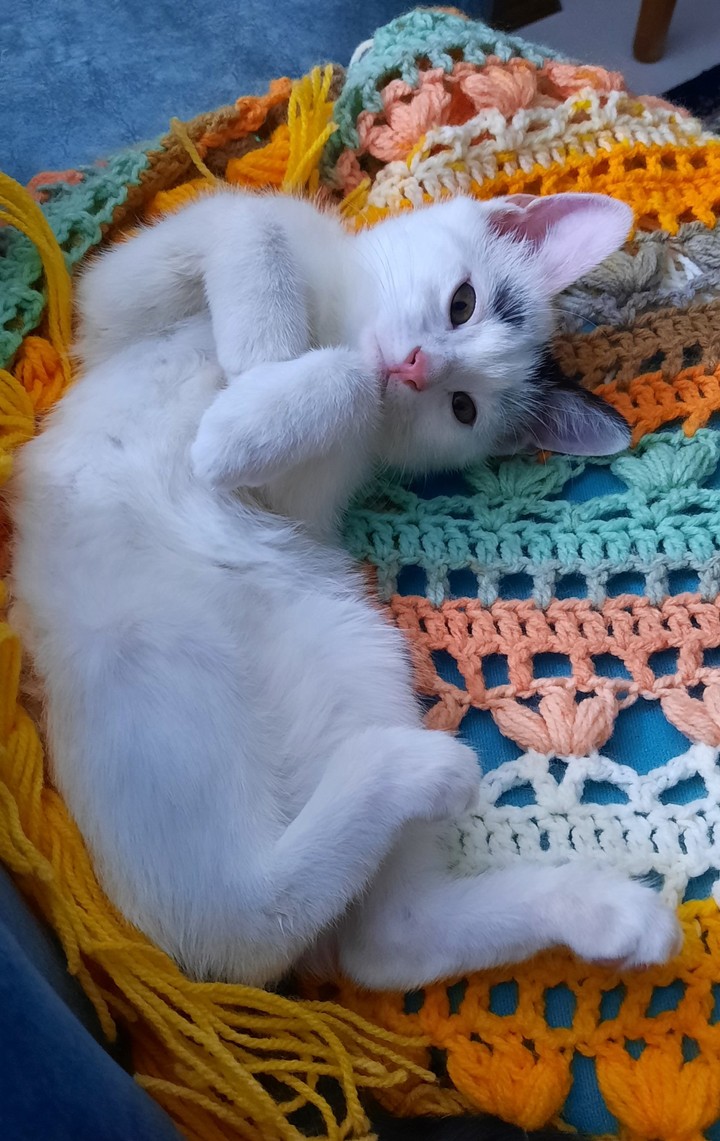 our little girl?