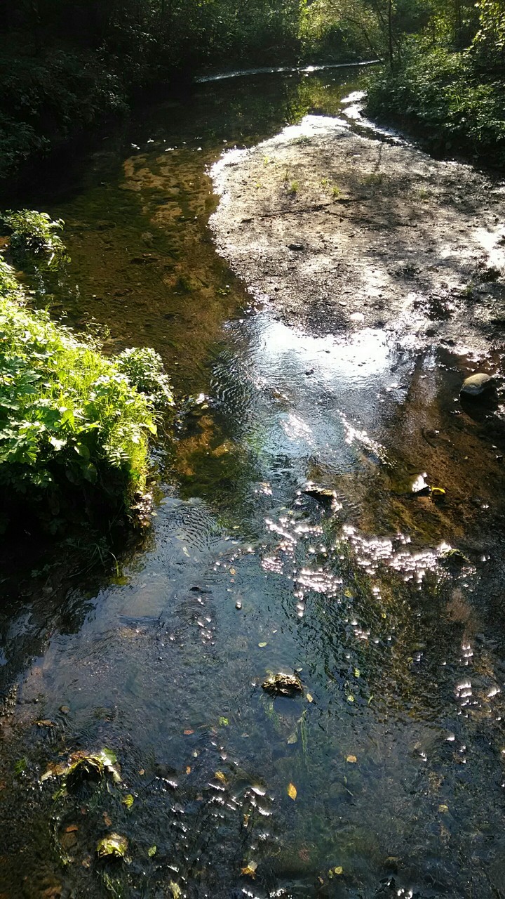 Summer lights