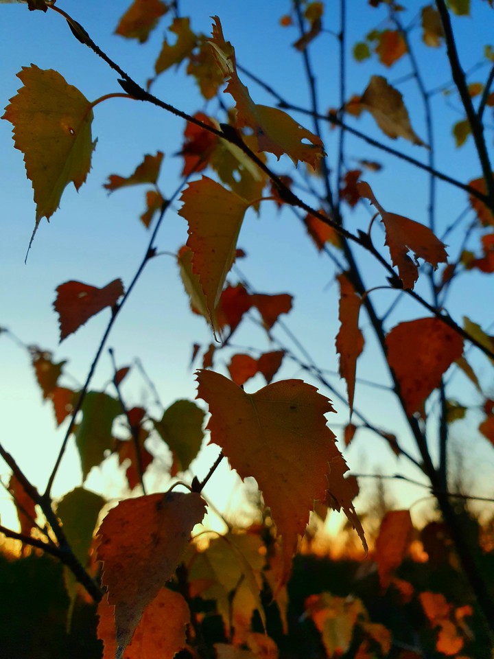 October