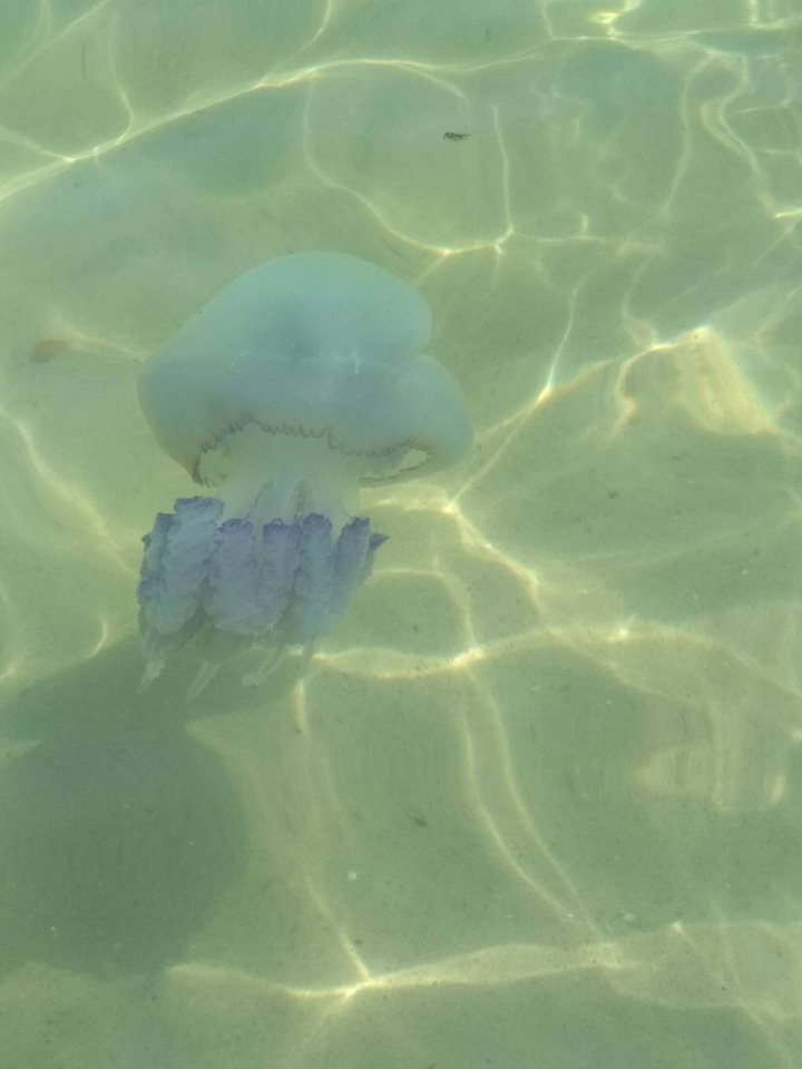 море..
