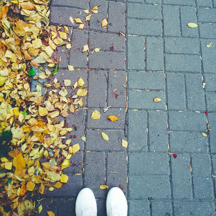 autumn