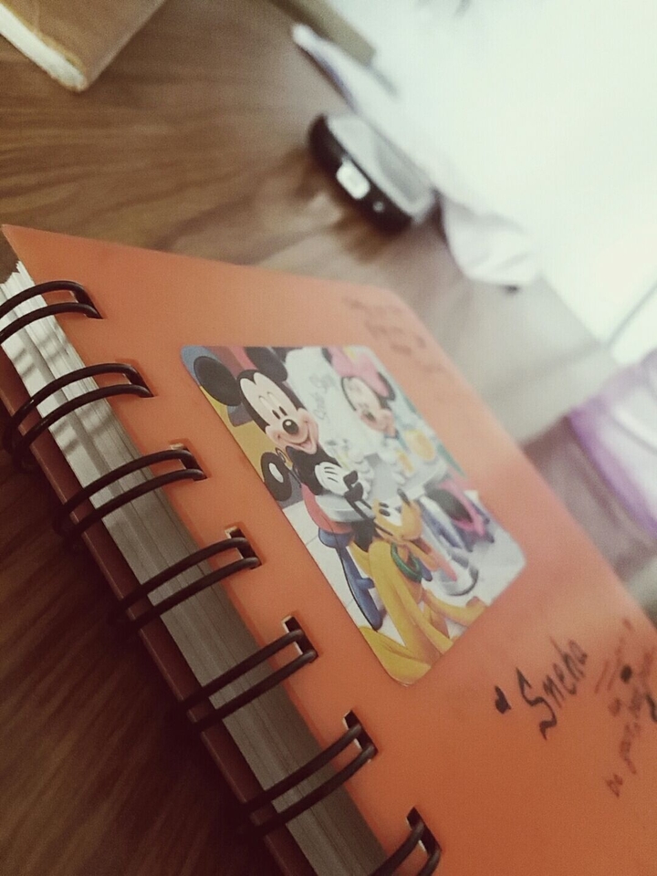 Diary