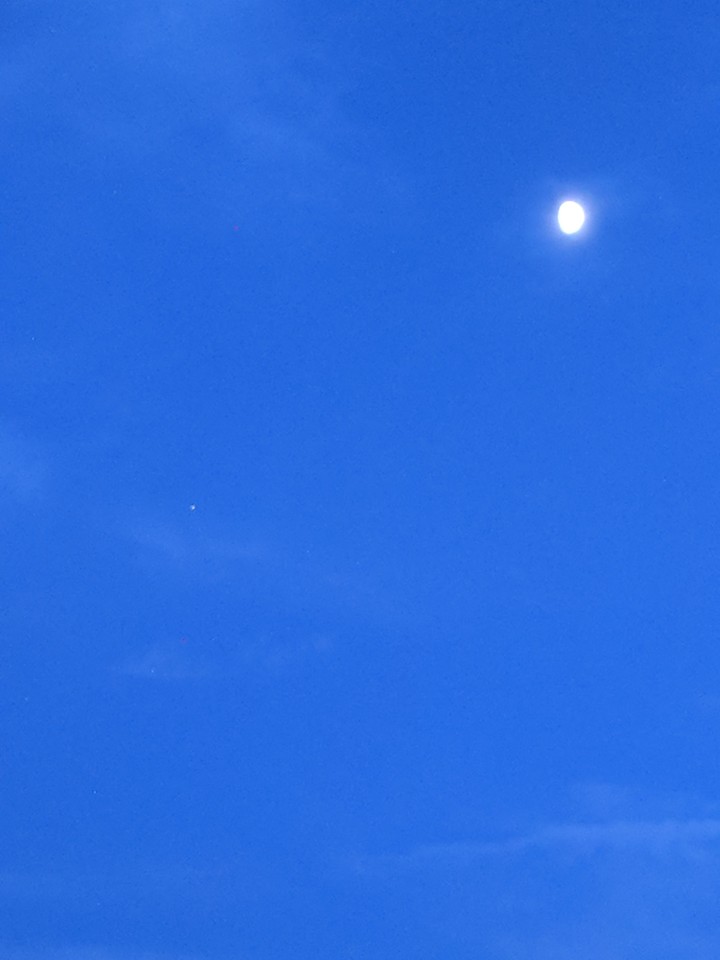 MOON