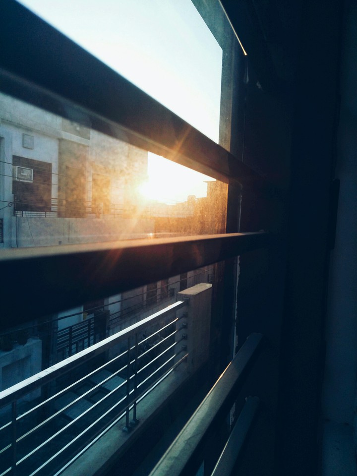 Sunlight