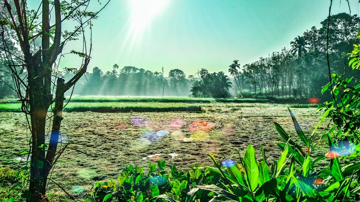 Kerala