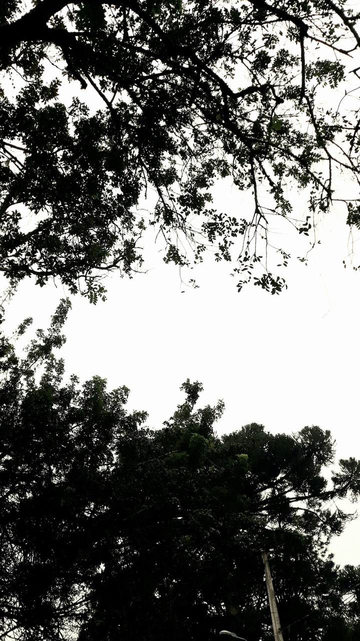 Cloudy Sky