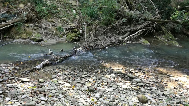 Fiume