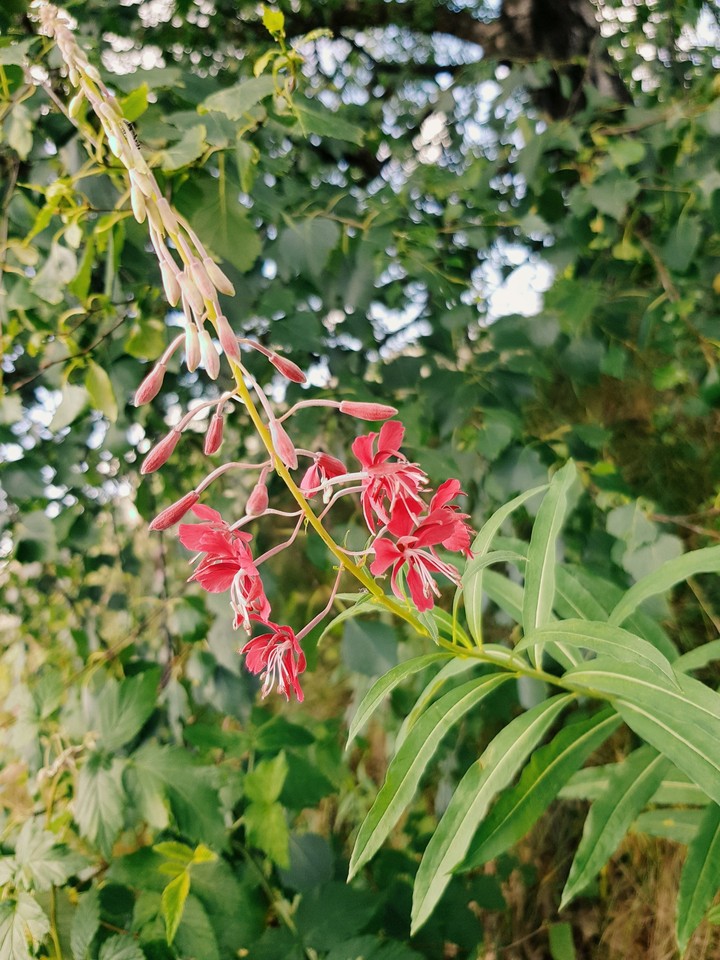 #Nature
