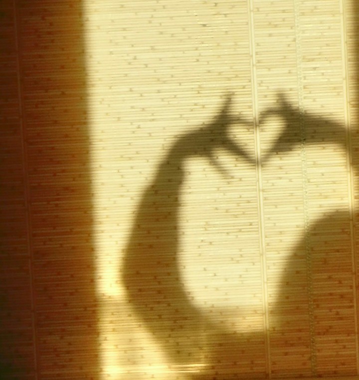 love
