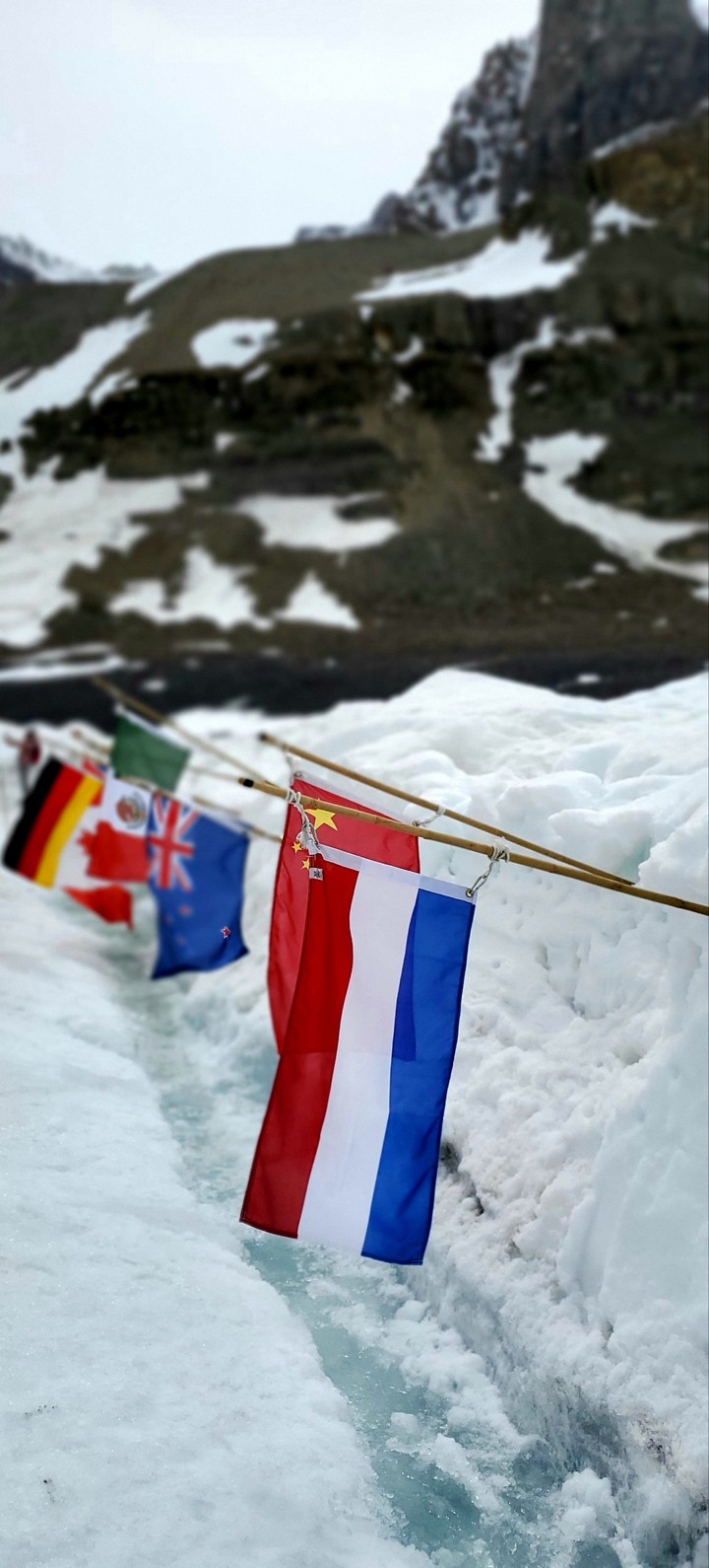 flags