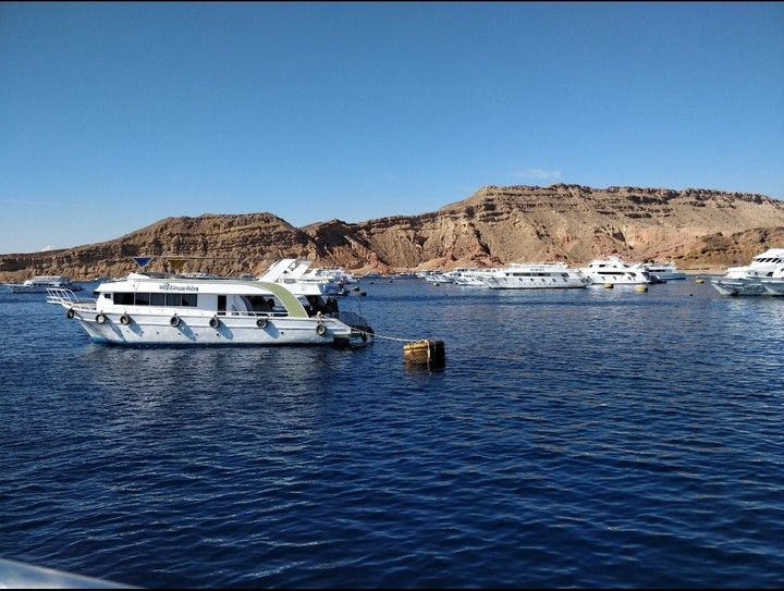 Red sea