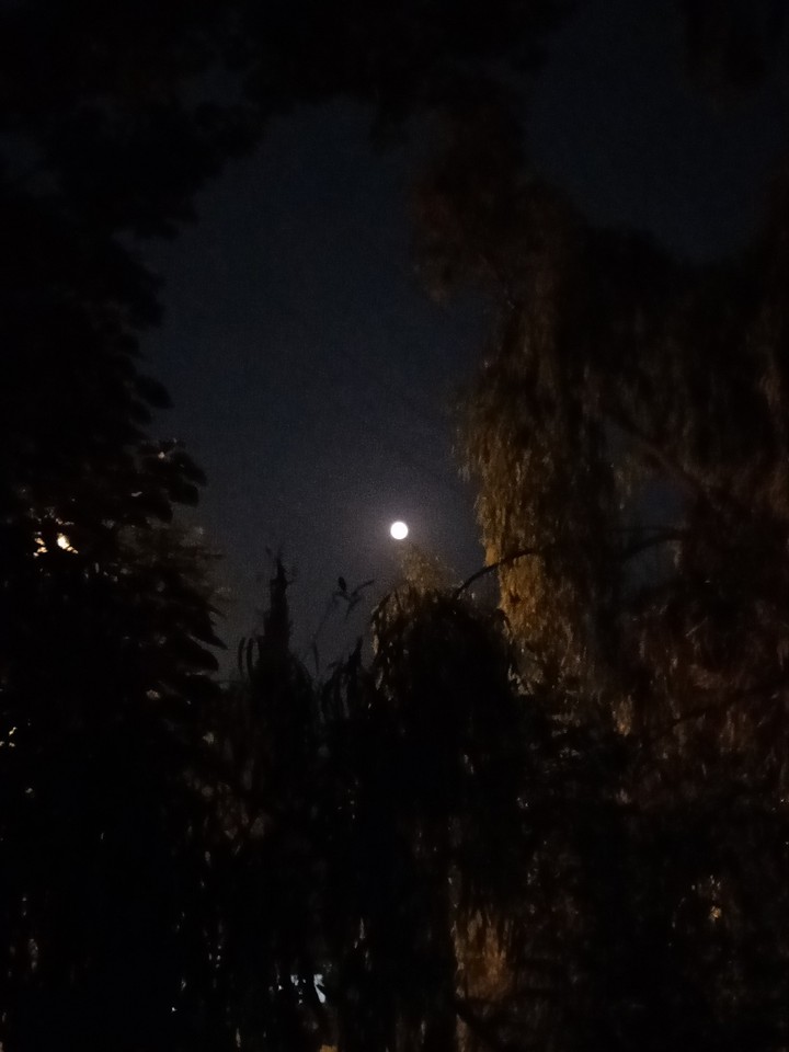 Moon