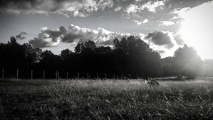 atardecer bnw