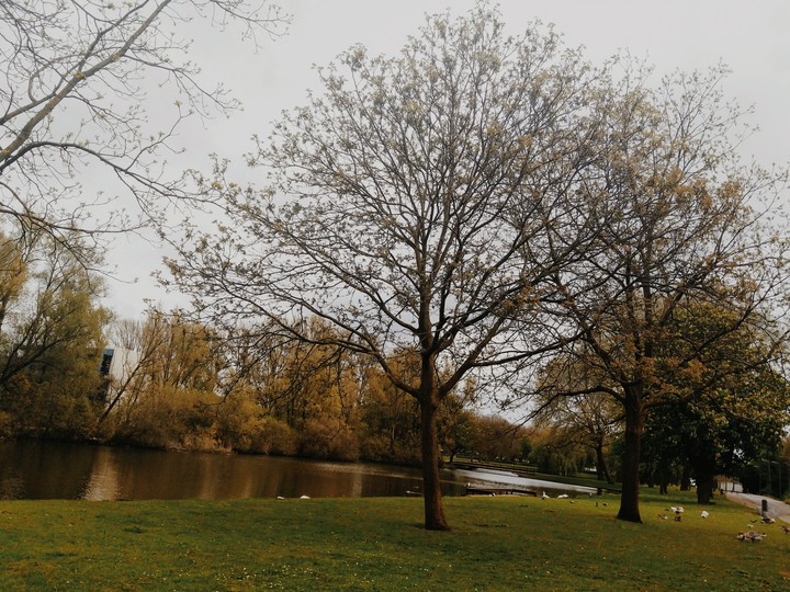 just a simple tree