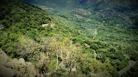 wonderful road