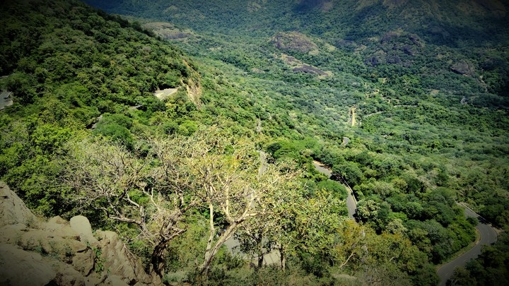 wonderful road