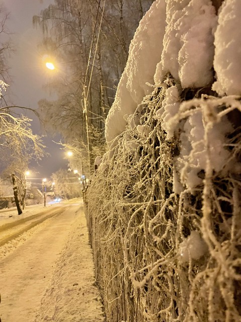 world, froze achtergronden