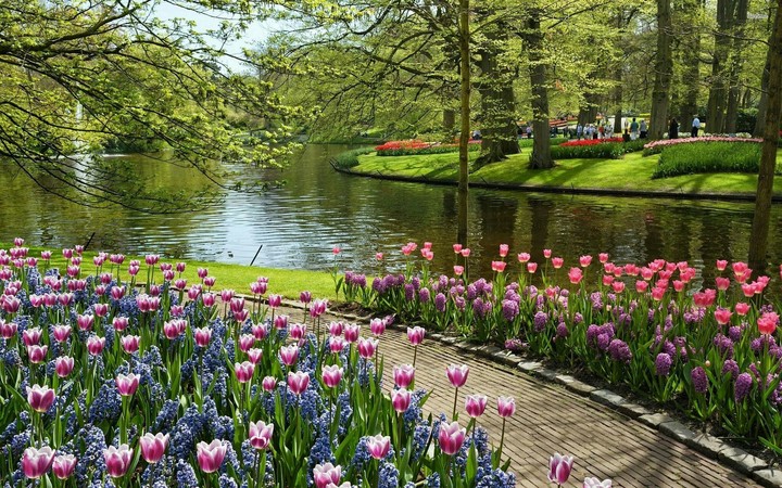 garden