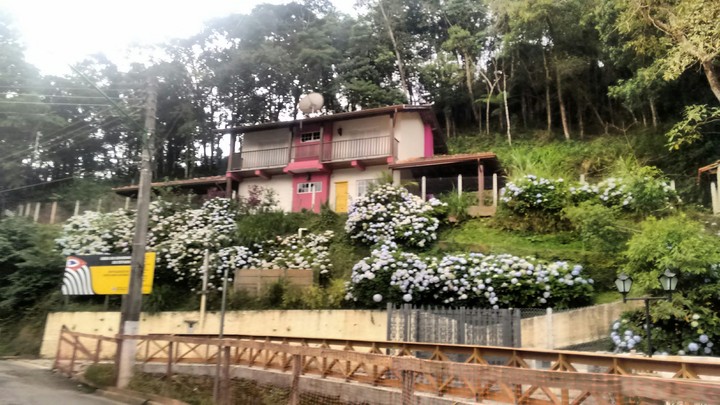 Santo Antônio do pinhal. SP