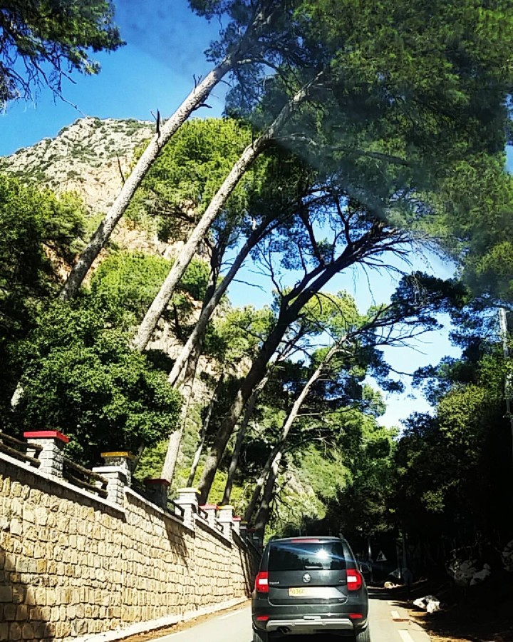 BEJAIA