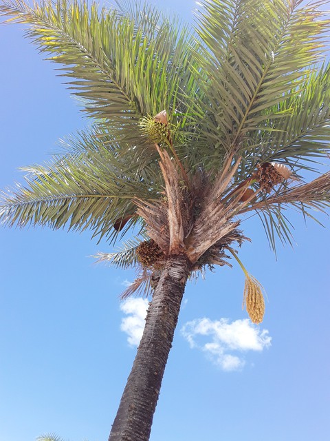 Bahia/ Brasil