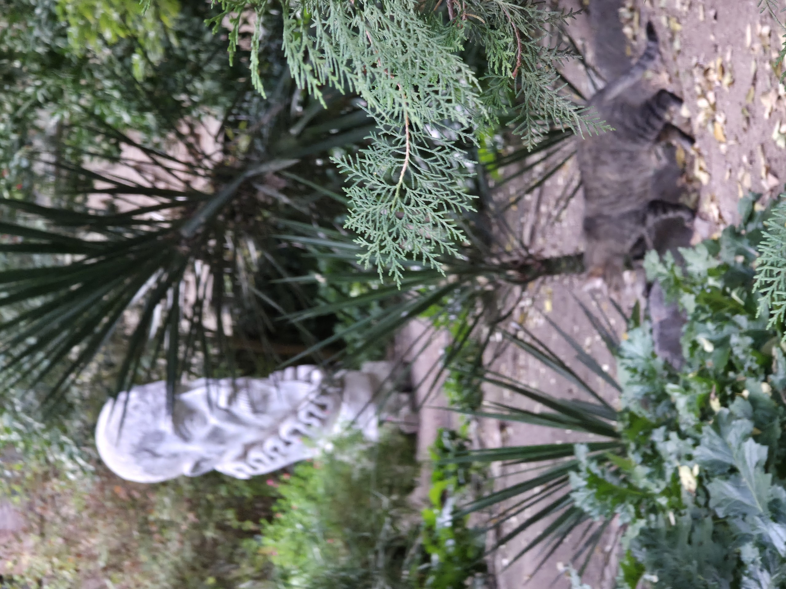 Plants, Vegetation, Sculpture